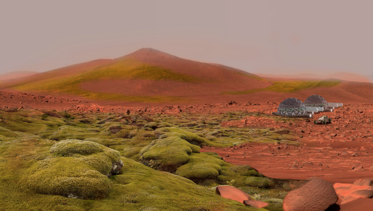 テラフォーミングでコケの定着が進み、人類の活動が始まった火星のイメージ（出典：DigitalBlast）