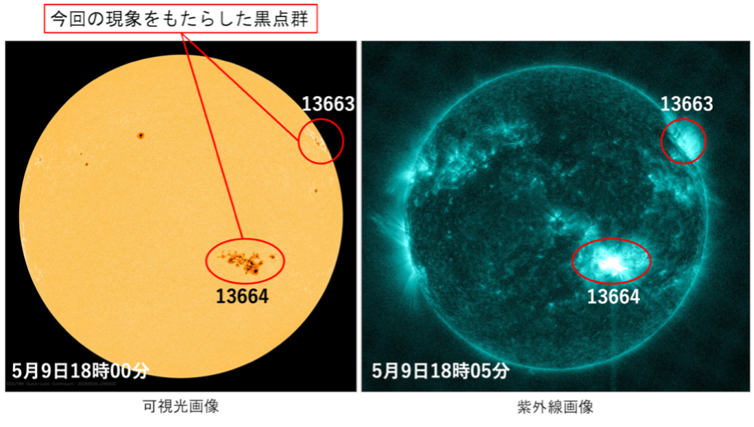 NASAの太陽観測衛星「Solar Dynamics Observatory（SDO）」で観測された太陽。（左から）可視光、紫外線。今回の太陽フレアをもたらした黒点群は13663と13664（提供：NICT）