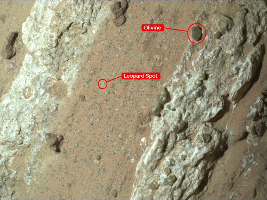 上と同じ画像。左側が「ヒョウの斑点」、右側が岩石に含まれるカンラン石。Perseveranceに搭載されている装置「WATSON」で撮影した（出典：NASA / JPL-Caltech / MSSS）