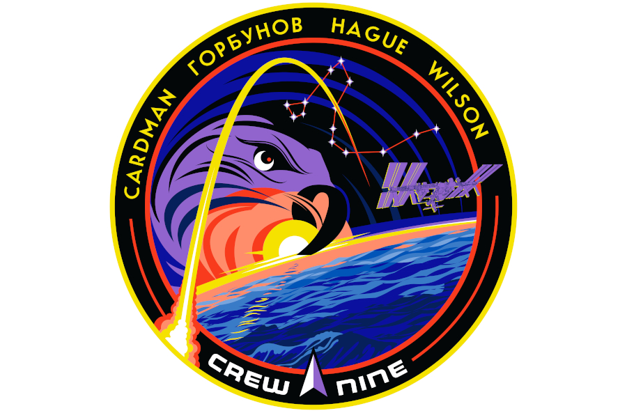 Crew-9ミッションパッチ（出典：NASA）