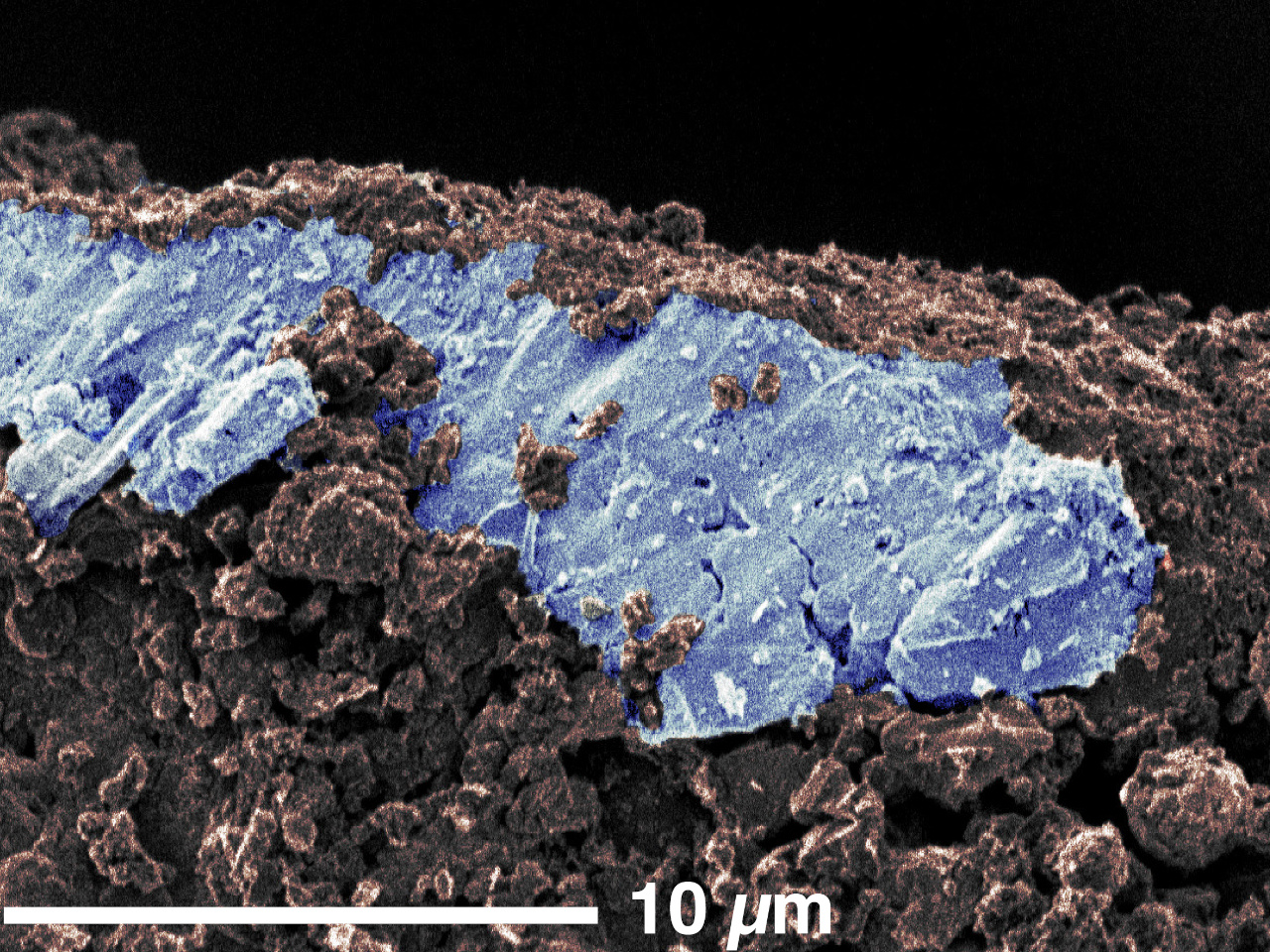 小惑星「リュウグウ」の砂粒に塩の結晶--隕石では見つからず、全くの予想外