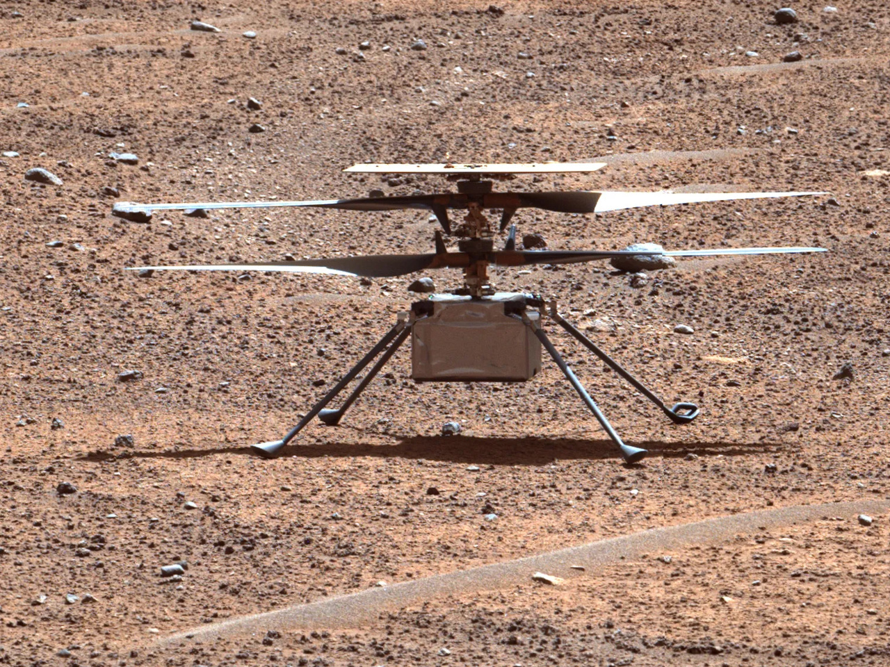 火星滞在871日となる2023年8月2日にPerseverance搭載カメラで撮影されたIngenuity（出典：NASA／JPL-Caltech）