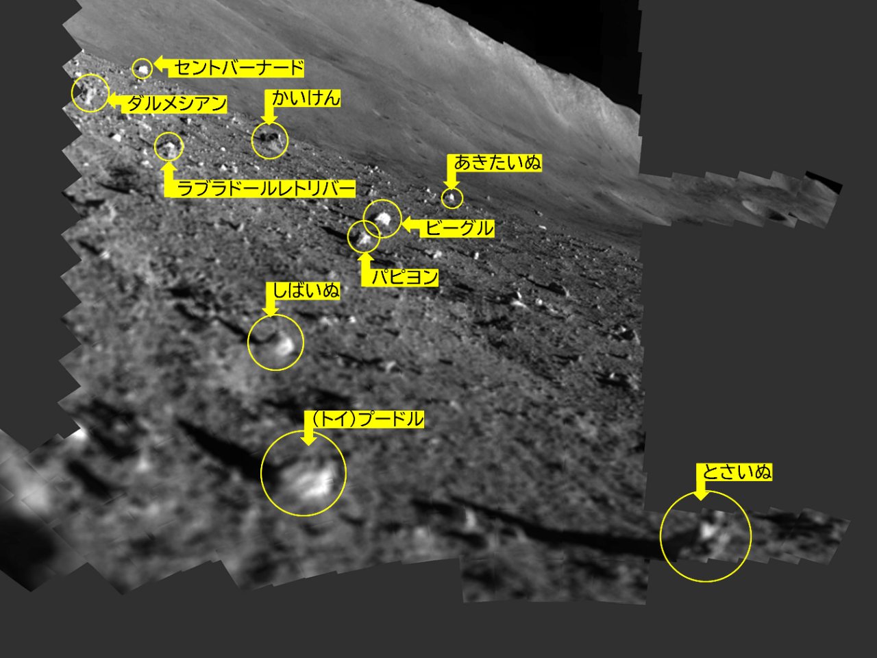 月着陸機「SLIM」、岩石の10バンド分光撮影に成功--「カンラン石」分析で月の起源に迫る