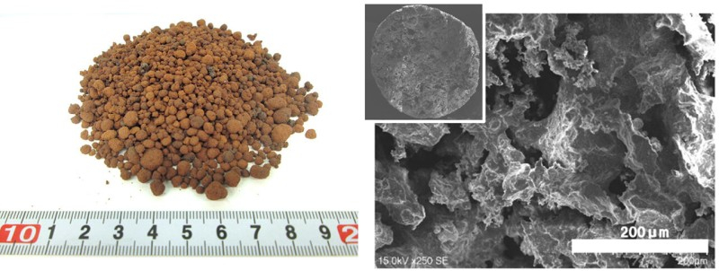 （左から）栽培に使う模擬砂から作った多孔体と多孔体の電子顕微鏡写真