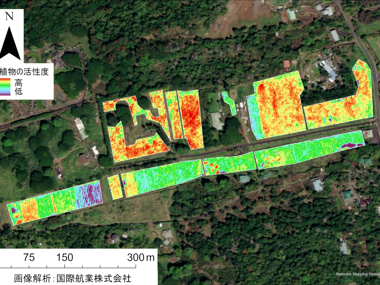 UCCハワイコナコーヒー直営農園における衛星画像解析イメージ（出典：UCC上島珈琲）
