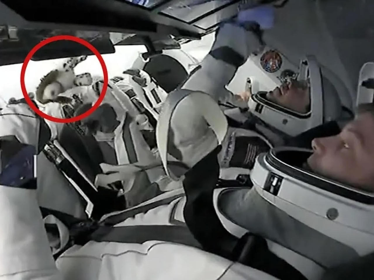 ISSに宇宙飛行士を運ぶ「クルー8」打ち上げ、宇宙船にはなぜか犬のぬいぐるみ