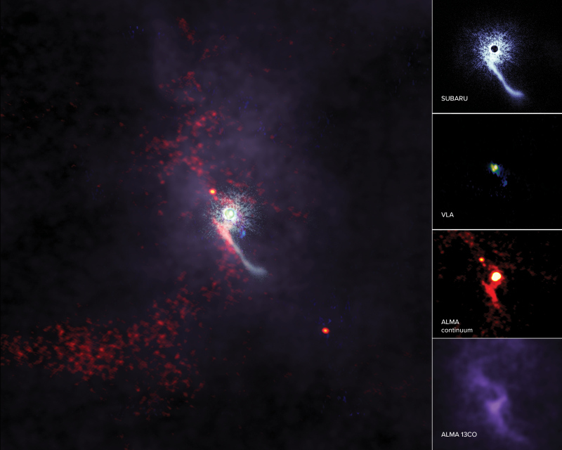VLAとALMAの観測結果に「すばる望遠鏡」で得た画像を合成（出典：NRAO）