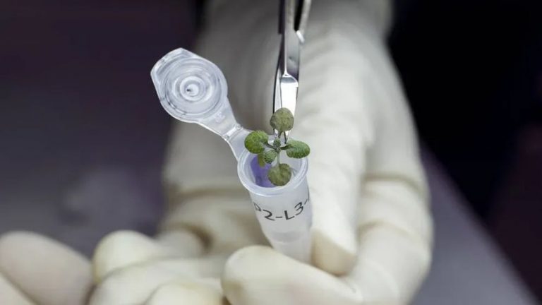 月の土壌には80億人を支える酸素がある