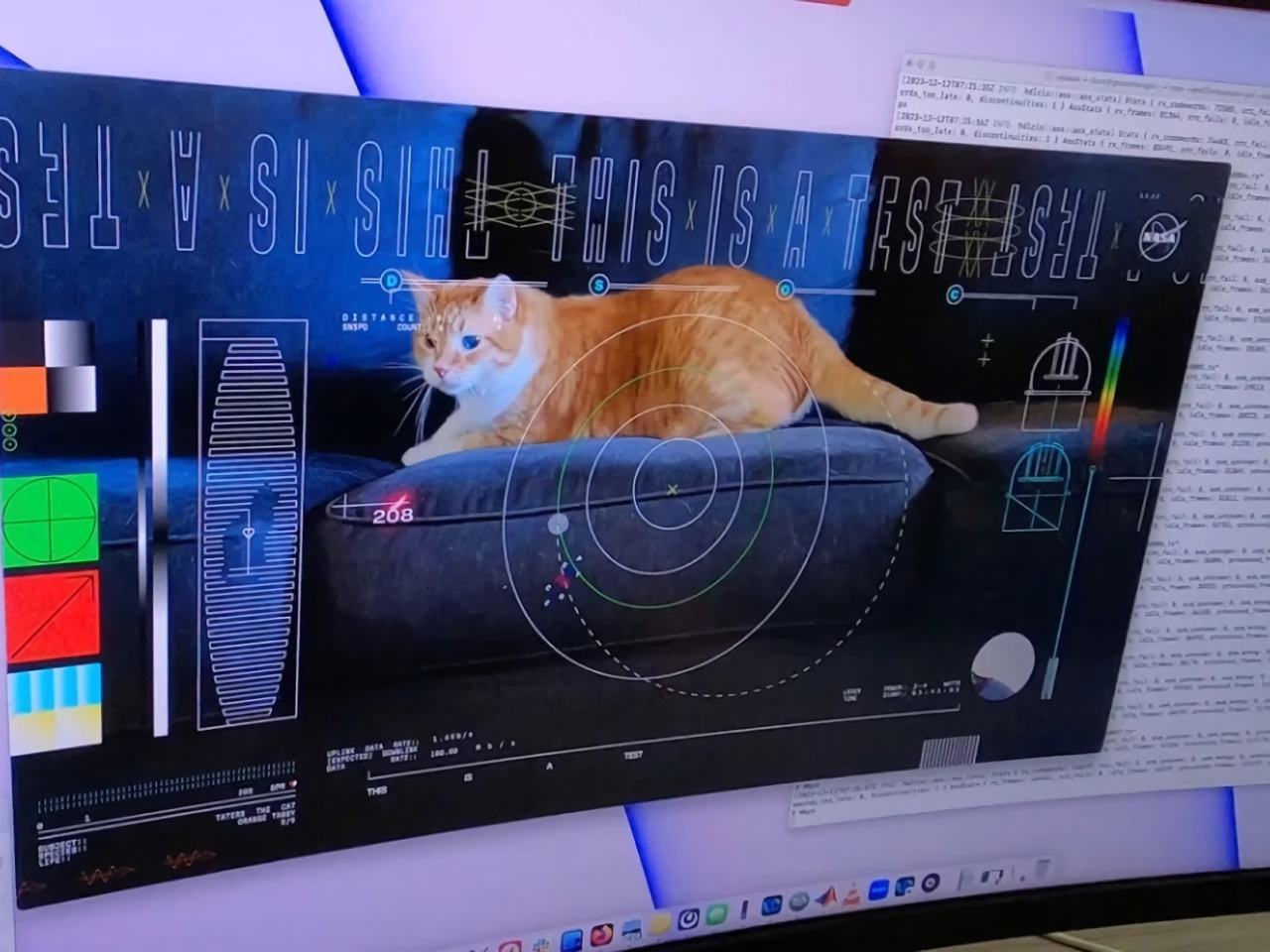 宇宙から届いた猫ビデオ、レーザー通信実験で地球へ送信　米ＮＡＳＡ