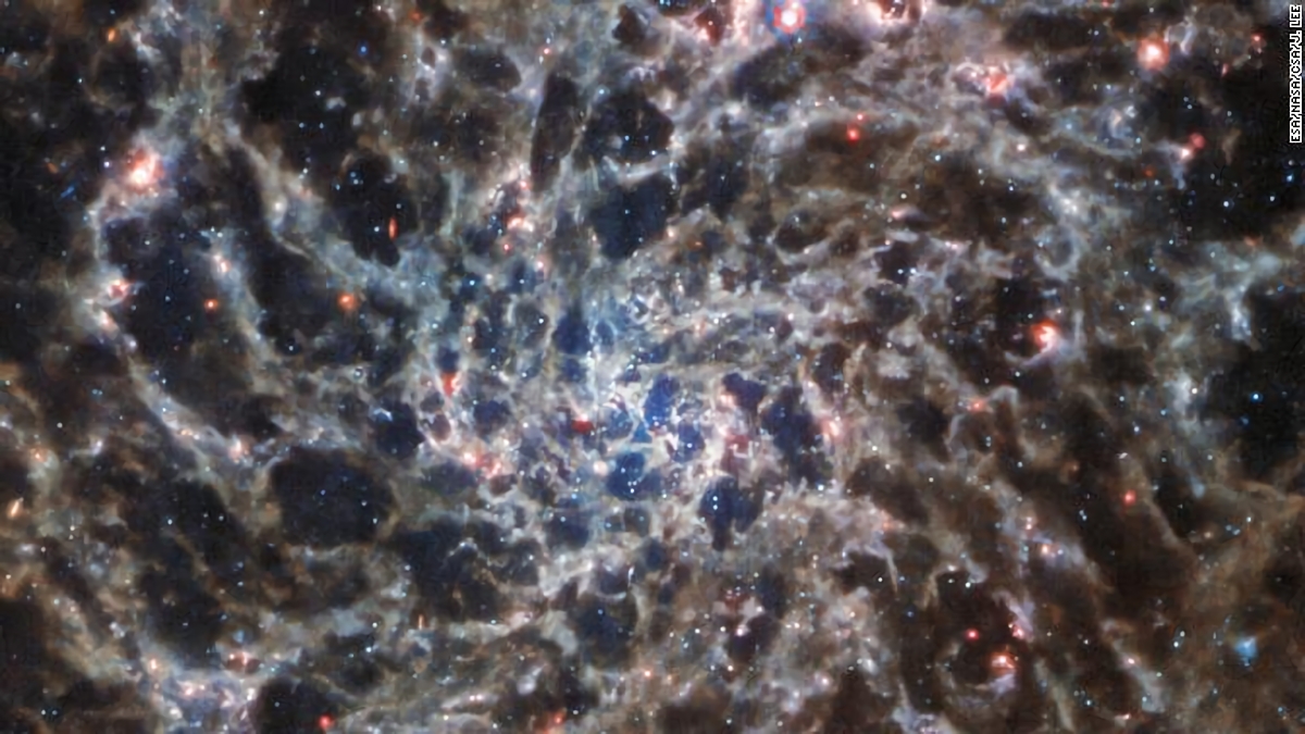 渦巻銀河「IC 5332」/ESA/NASA/CSA/J. Lee