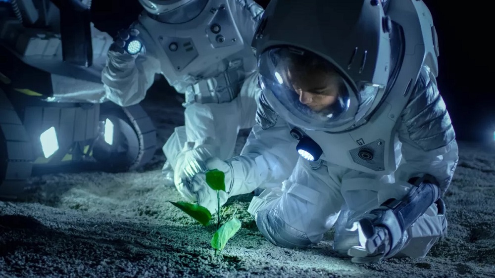 宇宙での食糧生産を競うコンテスト、NASAが開催　